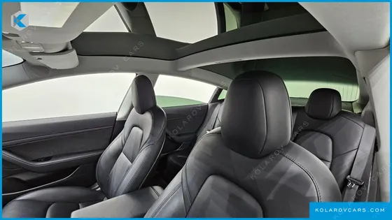 TESLA MODEL 3 STANDARD RANGE PLUE RWD