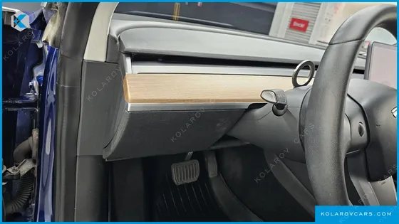 TESLA MODEL 3 STANDARD RANGE PLUE RWD