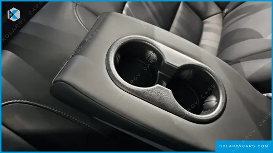 TESLA MODEL 3 STANDARD RANGE PLUE RWD