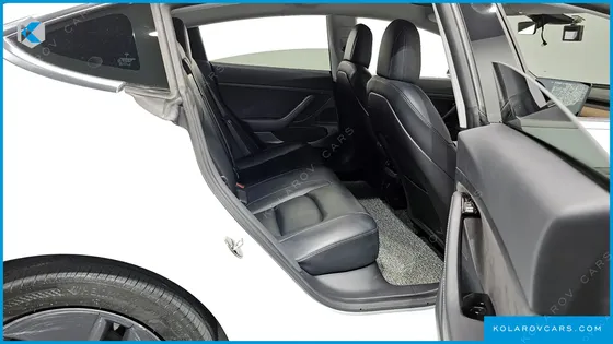 TESLA MODEL 3 STANDARD RANGE PLUE RWD