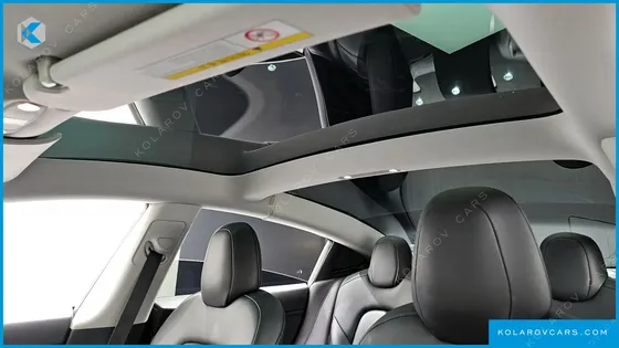 TESLA MODEL 3 STANDARD RANGE PLUE RWD