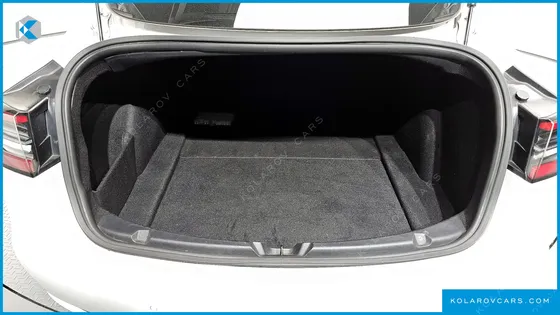 TESLA MODEL 3 STANDARD RANGE PLUE RWD