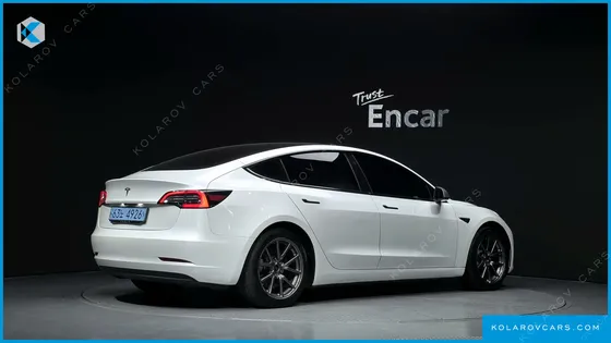 TESLA MODEL 3 STANDARD RANGE PLUE RWD