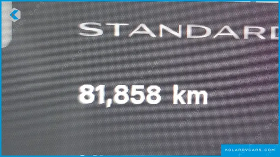 TESLA MODEL 3 STANDARD RANGE PLUE RWD