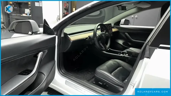 TESLA MODEL 3 STANDARD RANGE PLUE RWD