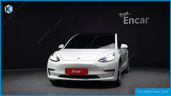 TESLA MODEL 3 STANDARD RANGE PLUE RWD