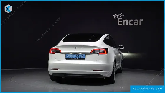 TESLA MODEL 3 STANDARD RANGE PLUE RWD