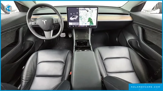 TESLA MODEL 3 STANDARD RANGE PLUE RWD