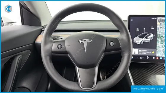 TESLA MODEL 3 STANDARD RANGE PLUE RWD