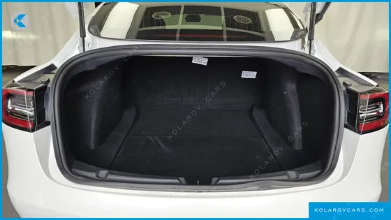 TESLA MODEL 3 STANDARD RANGE PLUE RWD