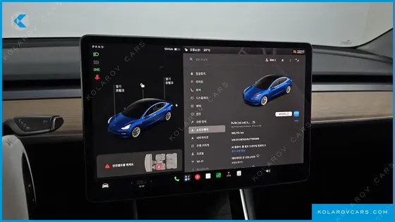 TESLA MODEL 3 STANDARD RANGE PLUE RWD