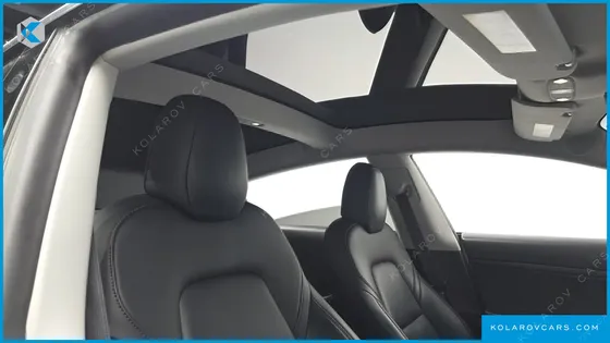 TESLA MODEL 3 STANDARD RANGE PLUE RWD