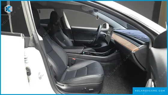 TESLA MODEL 3 STANDARD RANGE PLUE RWD