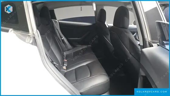 TESLA MODEL 3 STANDARD RANGE PLUE RWD
