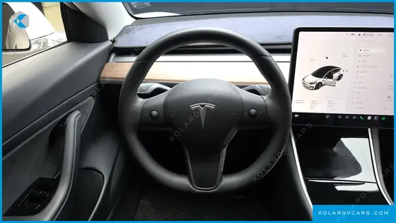 TESLA MODEL 3 STANDARD RANGE PLUE RWD