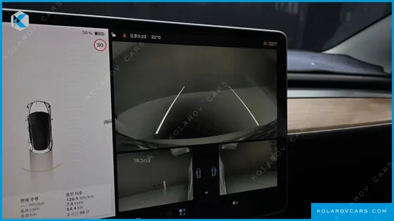 TESLA MODEL 3 STANDARD RANGE PLUE RWD