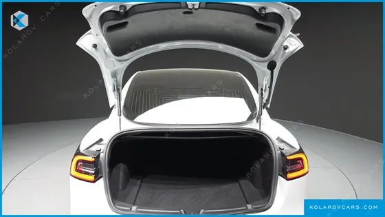 TESLA MODEL 3 STANDARD RANGE PLUE RWD