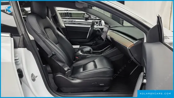 TESLA MODEL 3 STANDARD RANGE PLUE RWD