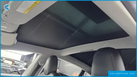 TESLA MODEL 3 STANDARD RANGE PLUE RWD