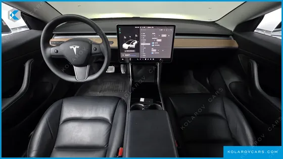 TESLA MODEL 3 STANDARD RANGE PLUE RWD