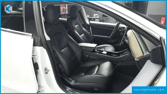 TESLA MODEL 3 STANDARD RANGE PLUE RWD