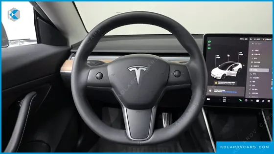 TESLA MODEL 3 STANDARD RANGE PLUE RWD