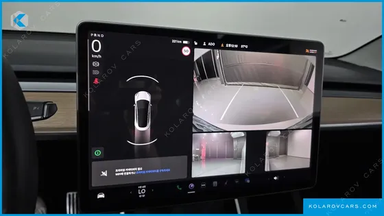 TESLA MODEL 3 STANDARD RANGE PLUE RWD