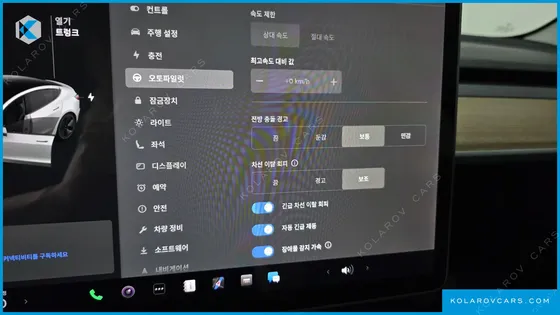 TESLA MODEL 3 STANDARD RANGE PLUE RWD
