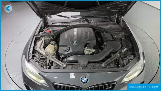BMW M2 M2 COUPE M PERFORMANCE STEERING WHEEL EDITION