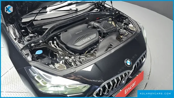 BMW 2 SERIES 218 M SPORT