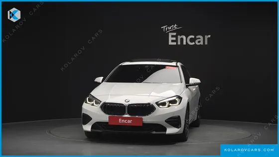 BMW 2 SERIES 220I ADVANTAGE