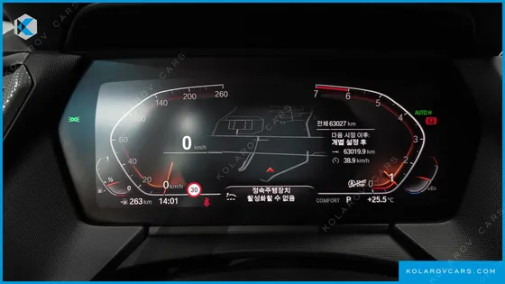 BMW 2 SERIES 220I ADVANTAGE