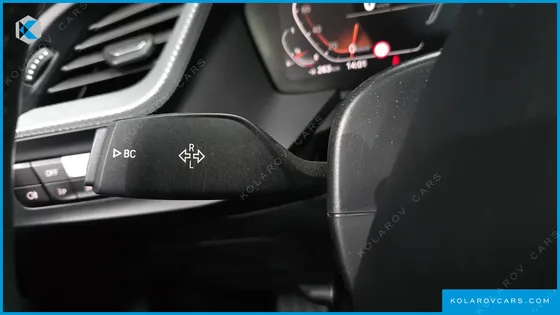 BMW 2 SERIES 220I ADVANTAGE
