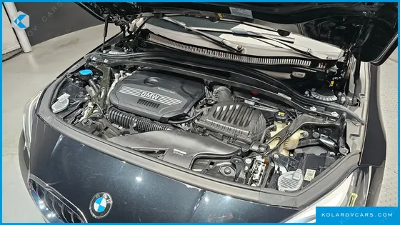 BMW 2 SERIES 220I ADVANTAGE