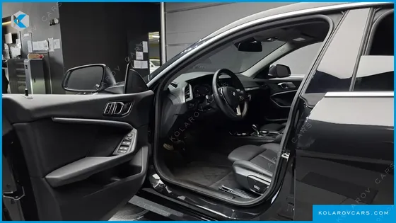 BMW 2 SERIES 220I ADVANTAGE