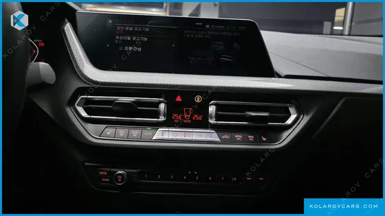 BMW 2 SERIES 220I ADVANTAGE