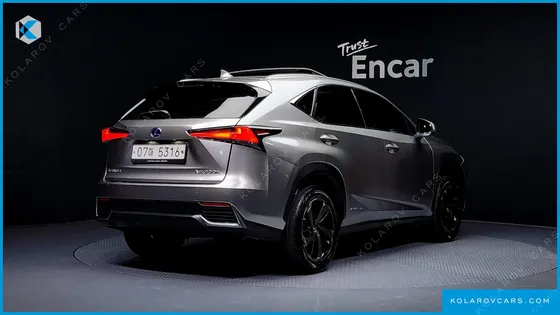 LEXUS NX EXECUTIVE