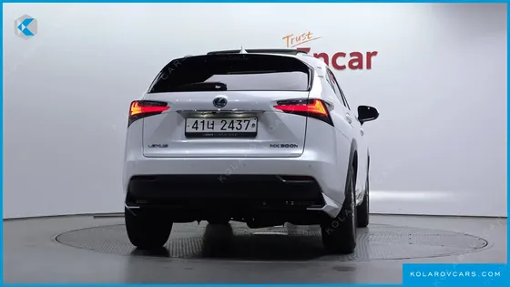 LEXUS NX SUPREME