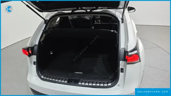 LEXUS NX SUPREME