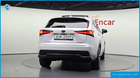 LEXUS NX SUPREME