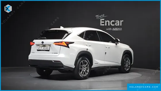LEXUS NX SUPREME