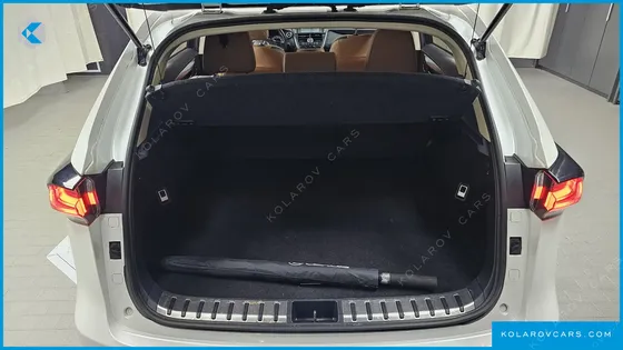 LEXUS NX SUPREME