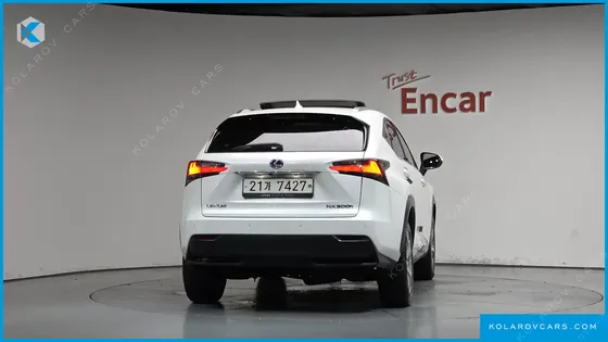 LEXUS NX EXECUTIVE