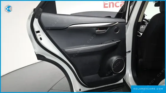 LEXUS NX EXECUTIVE