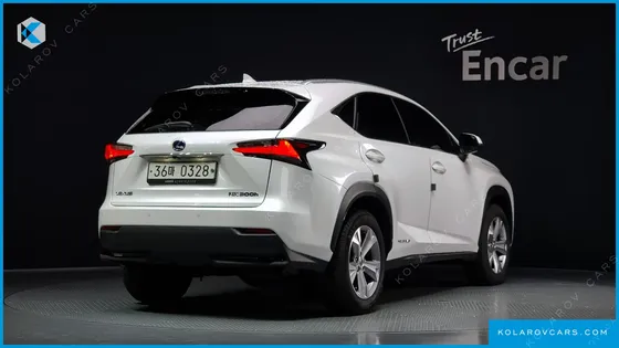 LEXUS NX EXECUTIVE