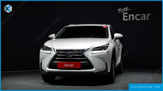 LEXUS NX EXECUTIVE