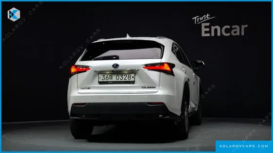 LEXUS NX EXECUTIVE