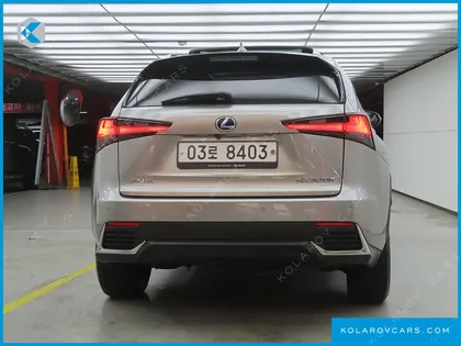 LEXUS NX EXECUTIVE