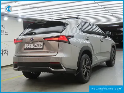LEXUS NX EXECUTIVE