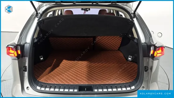 LEXUS NX SUPREME